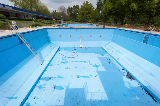 Best Mold removal after water damage  in Carrollton, TX