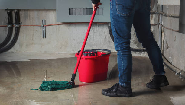 Best Professional water damage repair  in Carrollton, TX