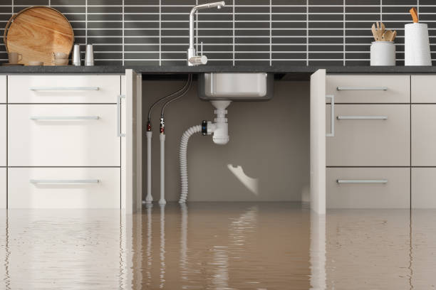 Best Flood damage cleanup  in Carrollton, TX