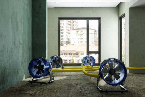 Best Water damage restoration near me  in Carrollton, TX